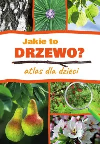 Jakie to drzewo? Atlas dla dzieci Wybór klientów