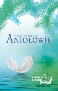 Medytacje biblijne. Aniołowie Super okazja