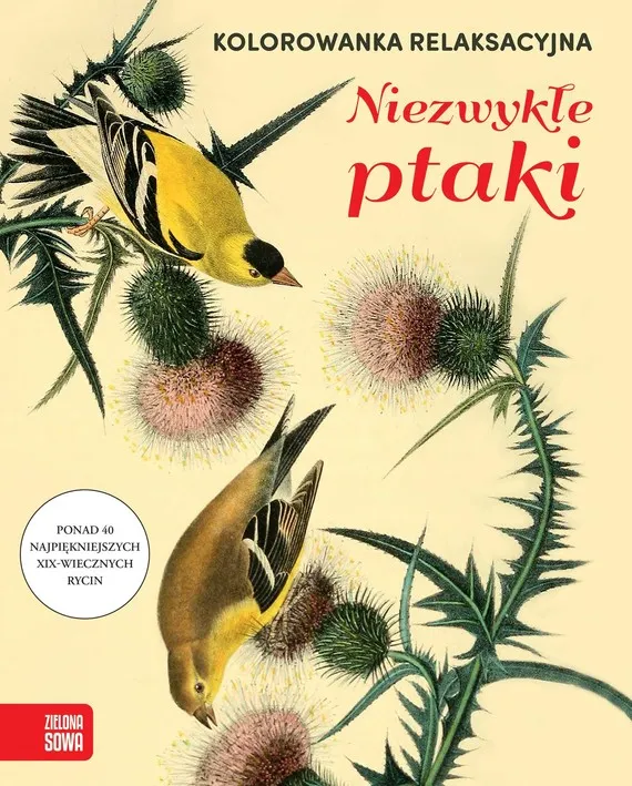 Taniej Niezwykłe ptaki. Kolorowanka relaksacyjna