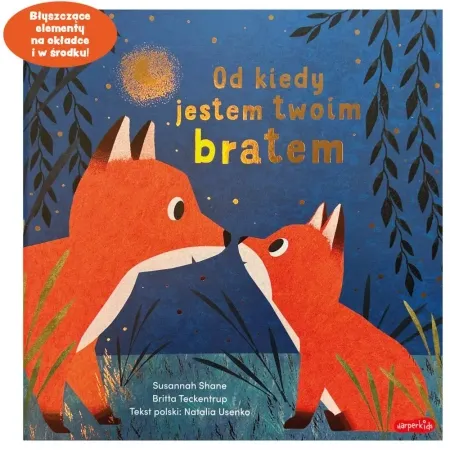 Od kiedy jestem twoim bratem - Susannah Shane, Britta Teckentrup Oferta czasowa