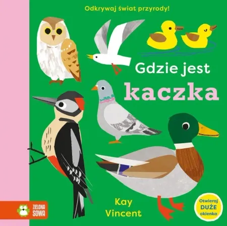 Gdzie jest kaczka - Kay Vincent Darmowa dostawa